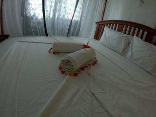 kome-Maya garden - Jambiani - 4