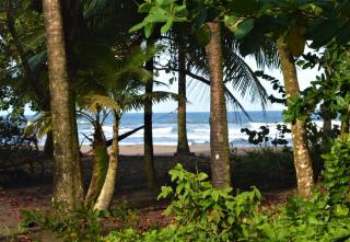 Hotel Pura Natura Beachfront Tortuguero - Tortuguero - 9