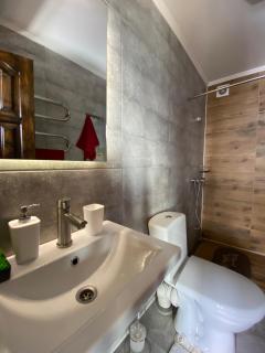 AGORA Chalet - Slavske - 6