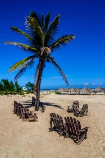 Lorencillo Miramar - Tampico - 5