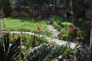 happy2 Anthi Comfort apt near Athens - 8