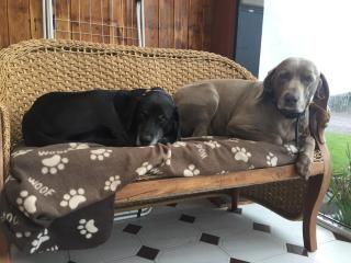 Redington House SelfCatering accommodation - Cobh - 7