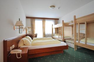 Salzburgerhof Jugend- und Familienhotel - Lofer - 8