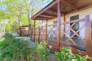 CHERRY Premium BIANCA Mobile homes Zelena Laguna - Poreč - 8