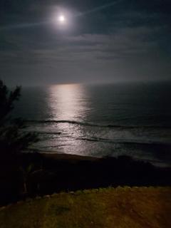 Seaside Retreat- Main House - Durban - 8