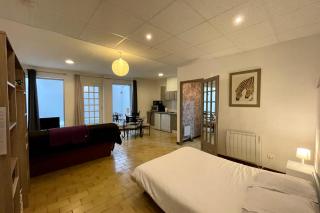 Appartement Studio patio centre ville Roanne - Roanne - 8