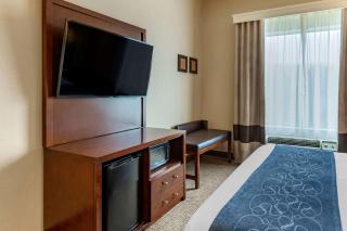 Comfort Suites Manassas Battlefield Park - Manassas - 2