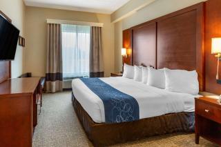 Comfort Suites Manassas Battlefield Park - Manassas - 1