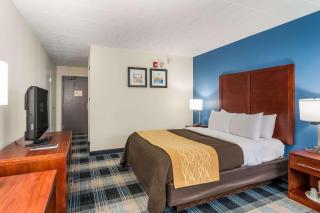 Comfort Inn & Suites - Montrose Hill - 1