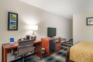 Comfort Inn & Suites - Montrose Hill - 2