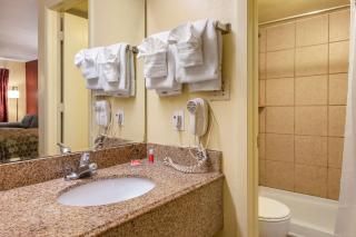 Econo Lodge Inn & Suites Maingate Central - Kissimmee - 5