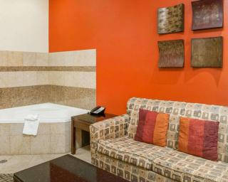 Comfort Suites Roswell North - 7