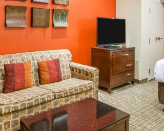 Comfort Suites Roswell North - 6