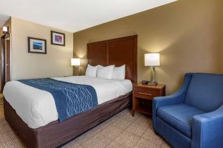 Comfort Inn & Suites Alameda at Albuquerque Balloon Fiesta Park - Albuquerque - 3