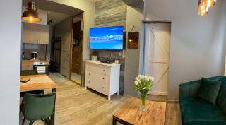 Apartamenty u Rybki Krynica - Zdrój - Krynica Zdrój - 4