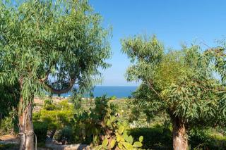 Hope's Studio - Zekros - 6