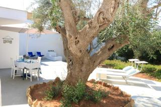 Villa gli Ulivi con ampio giardino ed ogni comfort a pochi passi dal mare vicino Gallipoli - Torre Suda - 2