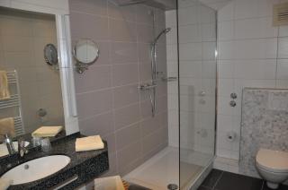 Hotel Restaurant Zum Schwan - 5