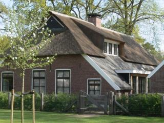 Holiday home in Nijverdal with jacuzzi - Nijverdal - 0