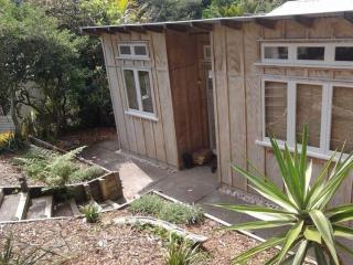 Waiwurri - Waiheke Holiday Home - Palm Beach - 9