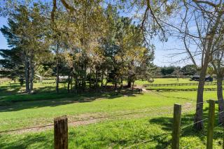 The Apartment - The Lodge Te Horo - Te Horo - 2