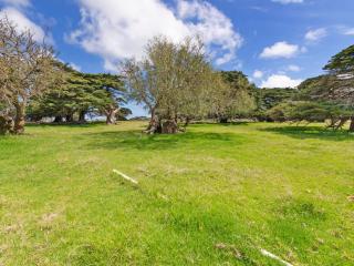 The Stables - Port Fairy - 1