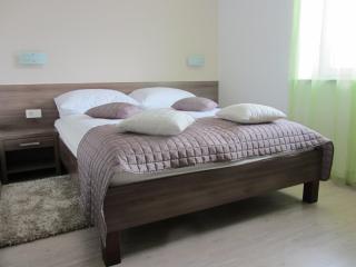 Villa Tollazzi - Logatec - 0