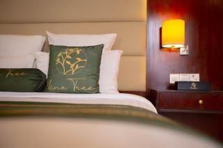 Nine Tree Luxury Hotel & Suites Lahore - Lahore - 4