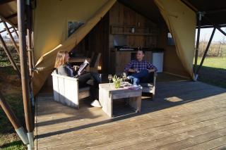 Hoeve Linnerveld - - 7