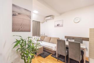 Apartment Danica - Banja Koviljača - 8