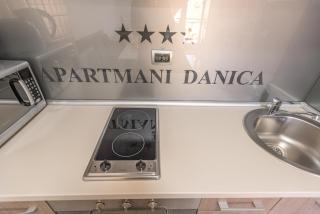 Apartment Danica - Banja Koviljača - 1