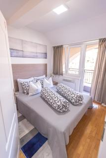 Apartment Danica - Banja Koviljača - 0