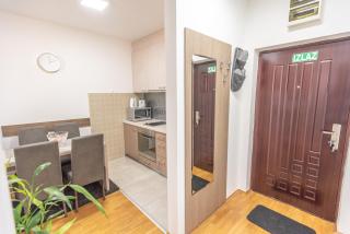 Apartment Danica - Banja Koviljača - 5