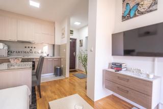 Apartment Danica - Banja Koviljača - 6