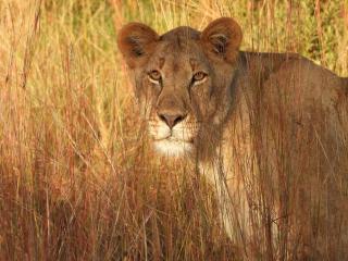 Kwalata Game Lodge - 2