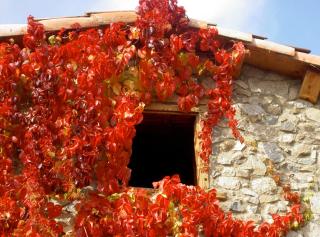 Casa rural calRei - Lles - 9