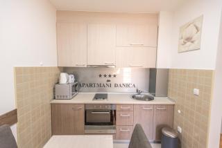 Apartment Danica - Banja Koviljača - 3