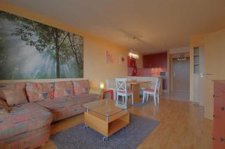 Apartment 551 - Hohegeiß - 0
