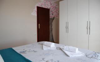Domaćinstvo Sinđelić - Ivanjica - 4