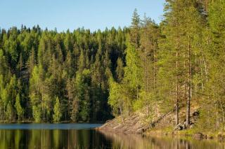 Beautiful lakeside Villa Vetojärvi - Pennala - 5