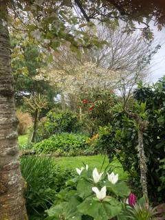 Southland Organic Farmstay - Invercargill - 7