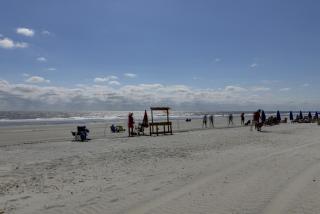 Wonderful luxury condo with great golf views K Bed Beach gear & bike rentals - 5