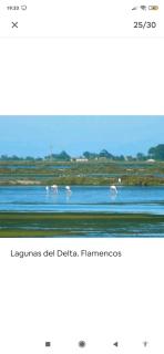 Deltafamily ¡ barbacoa,piscina, wifi Chromecast !! - 9
