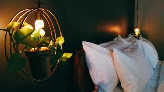 Tien B&B & Bistro - 9