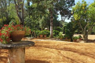 Quinta da Bizelga Cottages - Tomar - 1