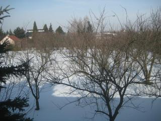 Apartamenty i pokoje Pluszak - Sandomierz - 6