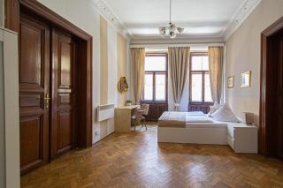For celebrations spacious 3BDR apartment with balcony - Prague - 7