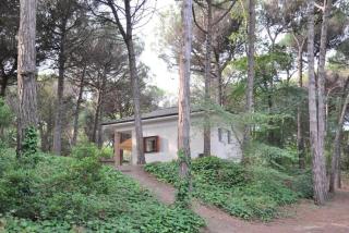 Arco Bungalow - Eraclea Mare - 4