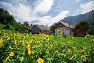 Apartments Tourist Farm Štorman with EV Ch-Station - Tržič - 7