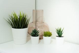 APARTMANI CENTAR LUX NEW - 8